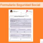 Formulario seguridad social en España